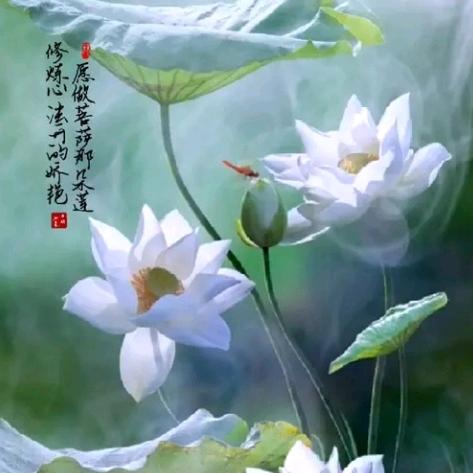 济缘堂_香姐