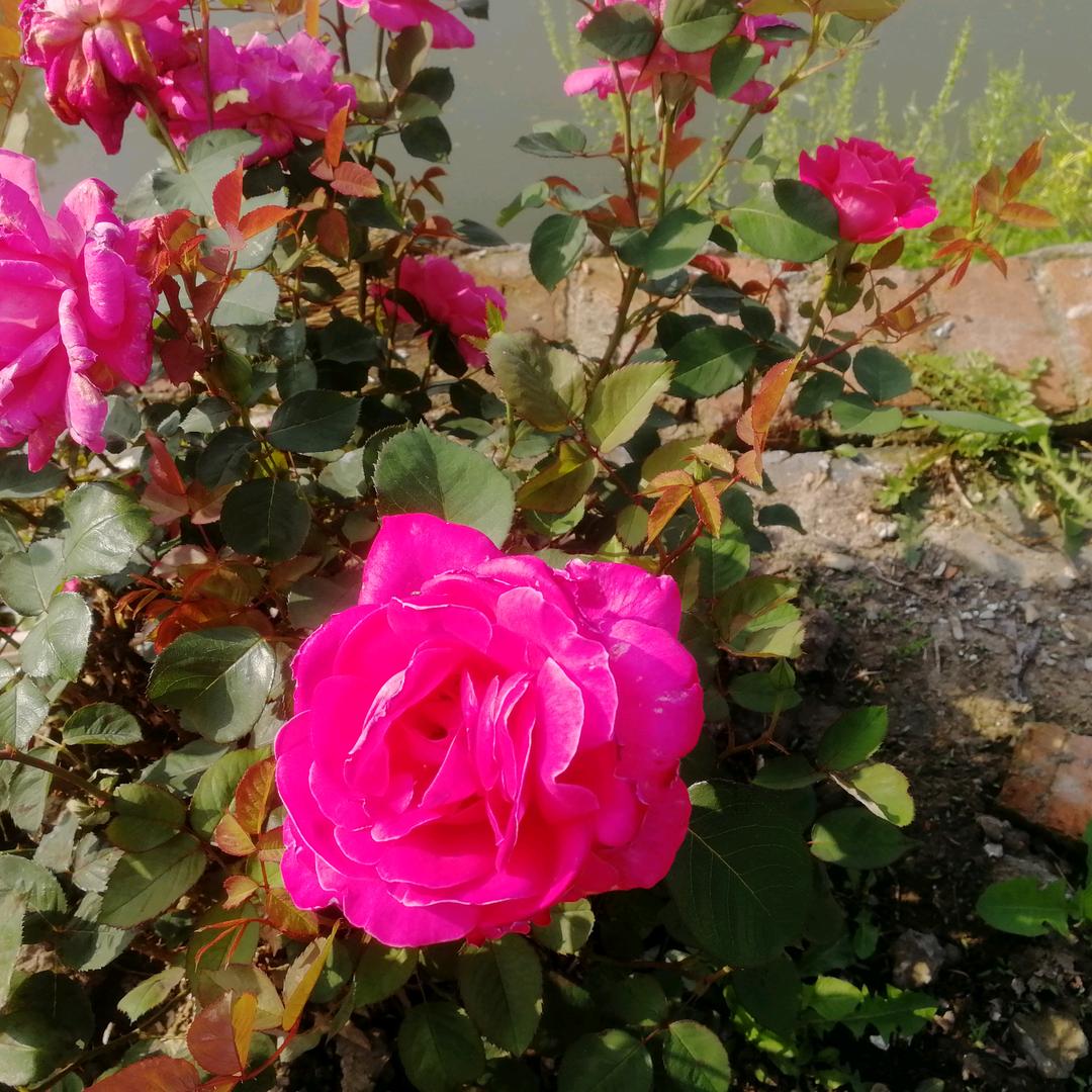 忘掉网事以💔奋斗