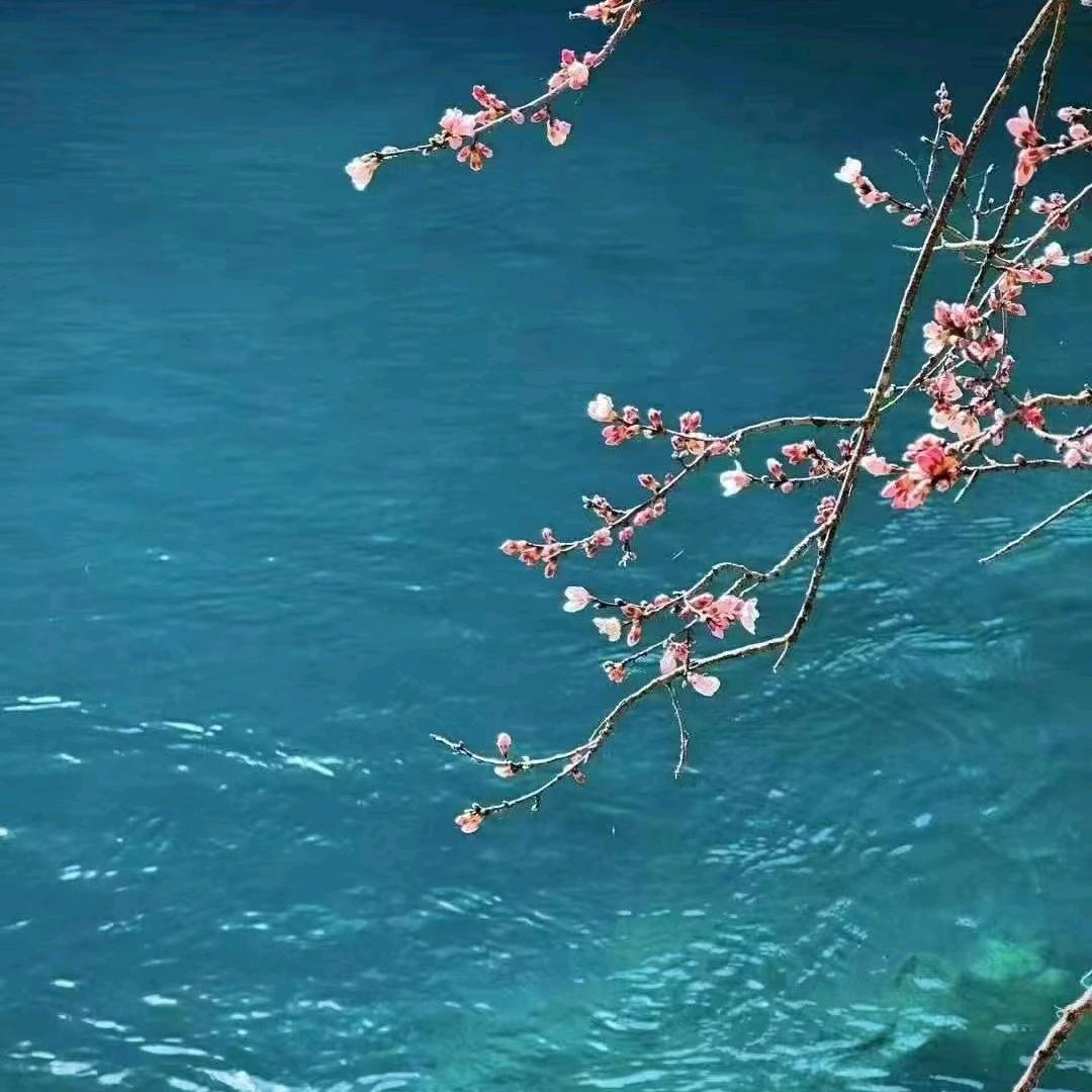 中国石油福建石狮南洋站