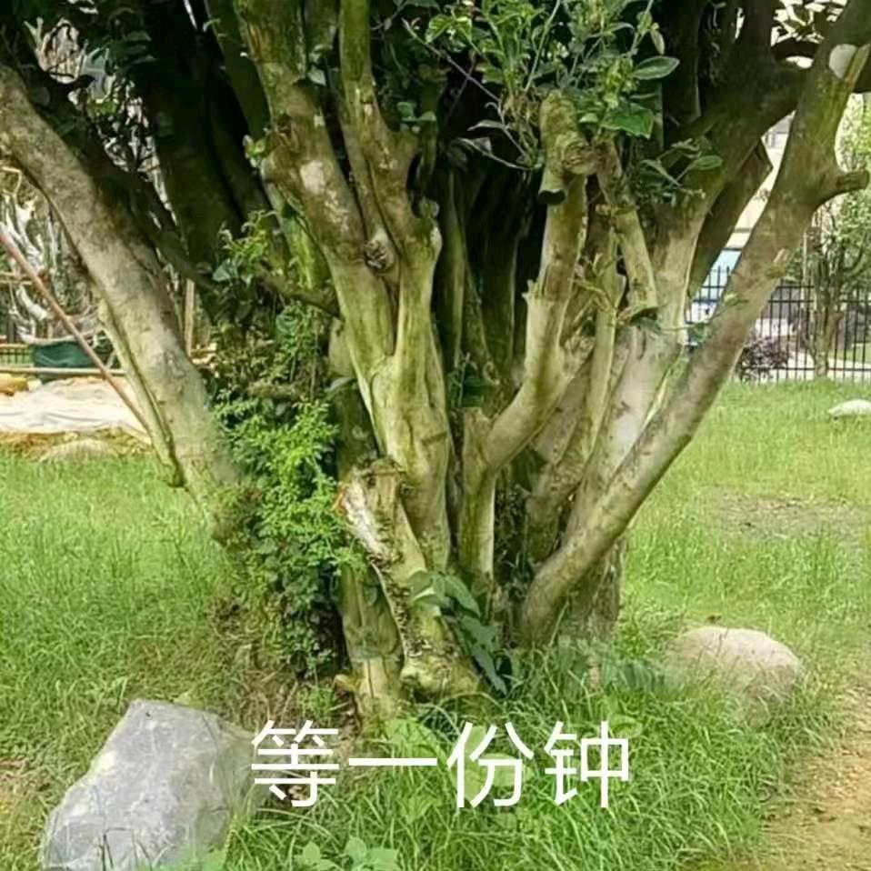 等你一分钟