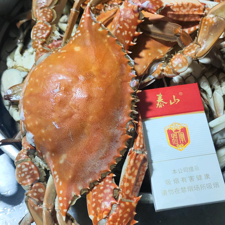 红光养殖