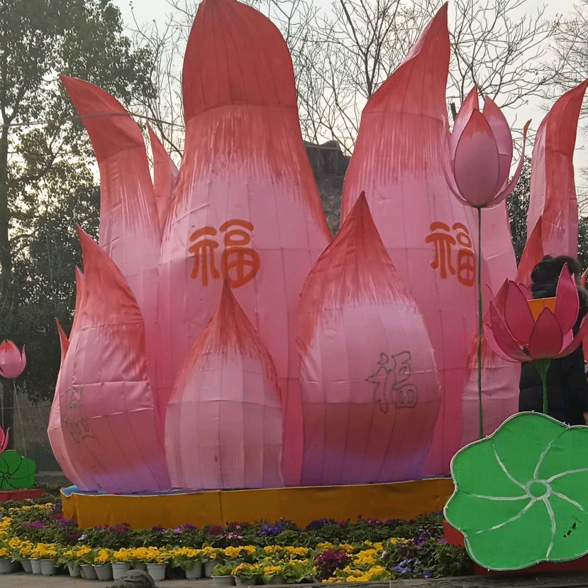 逸龙静心