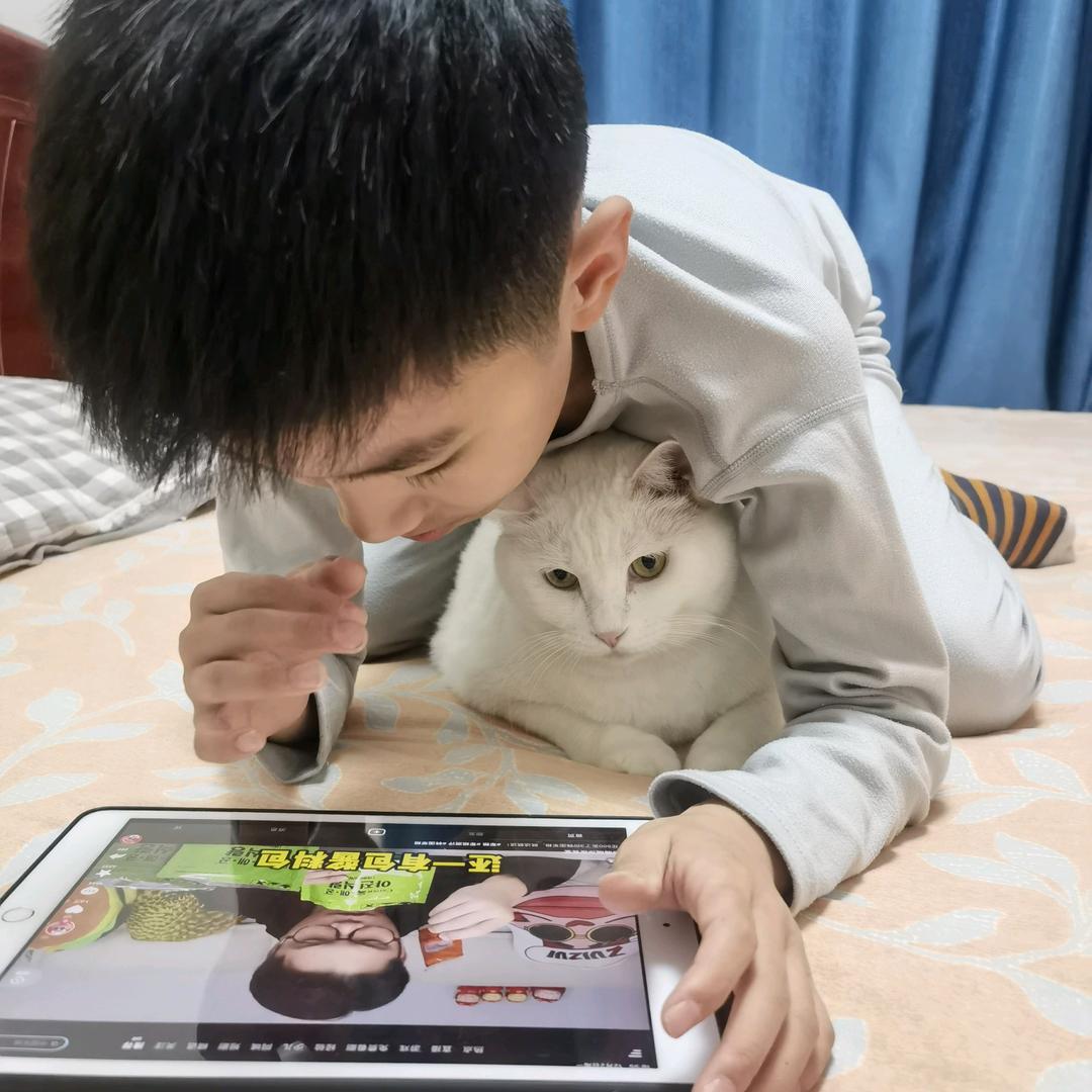 壮哥有猫腻🐱