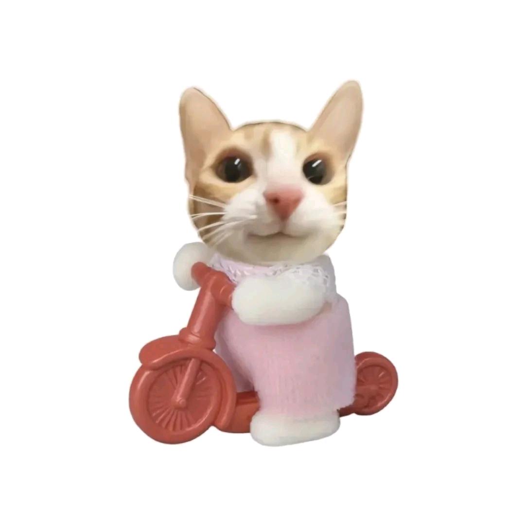 圆圆圆