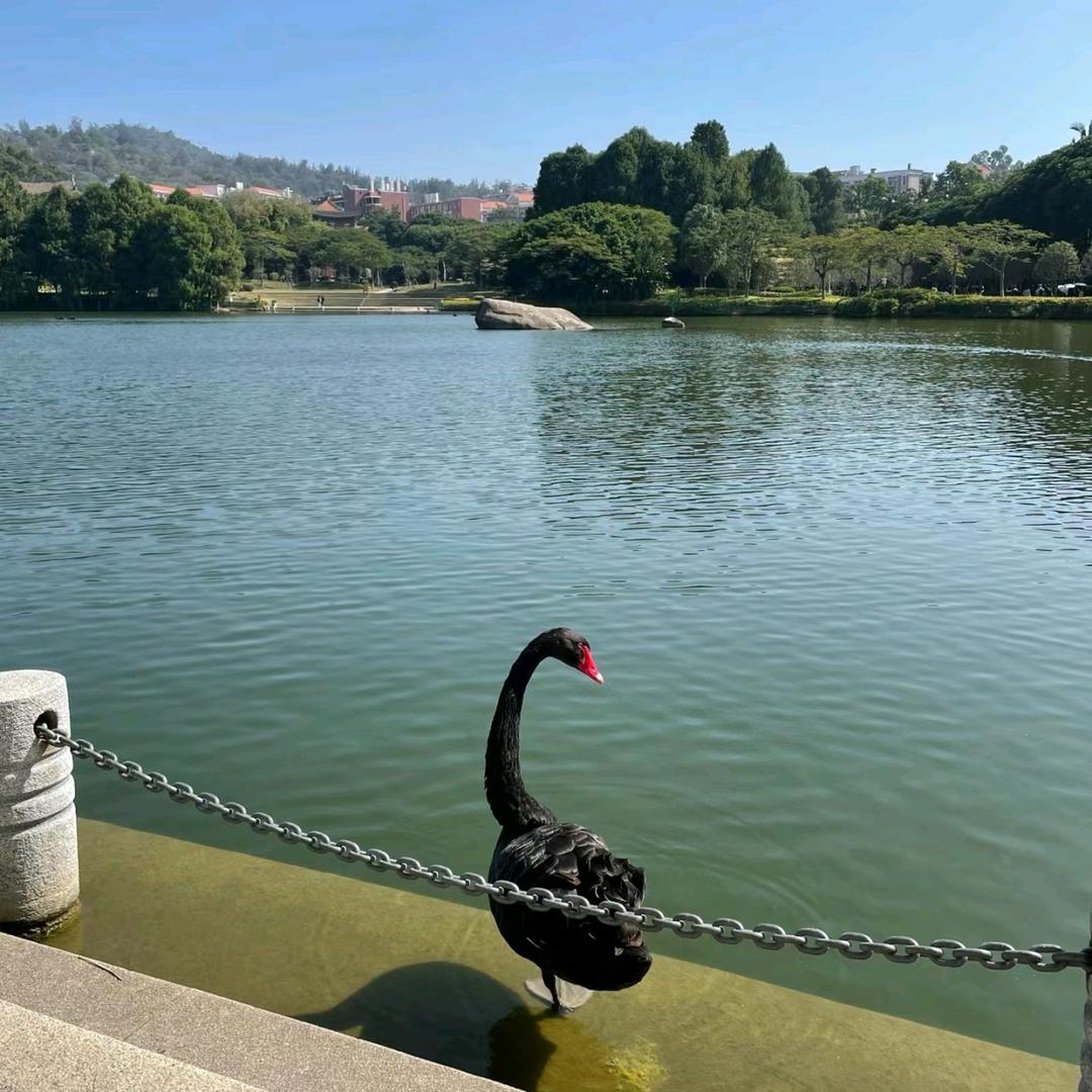 滨海