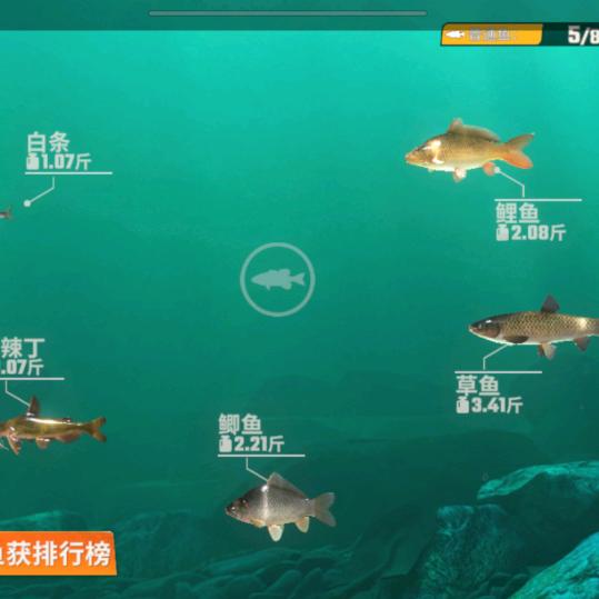 长丰大树职业培训学校杨校长