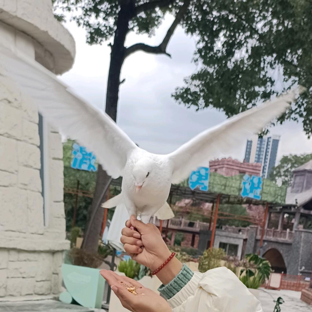 冂匚凵嘂嚻齾爩灪爨