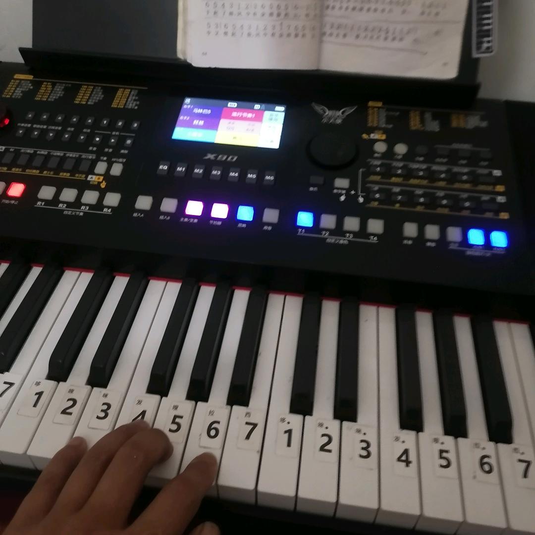 How are you爱你东哥电子琴主播