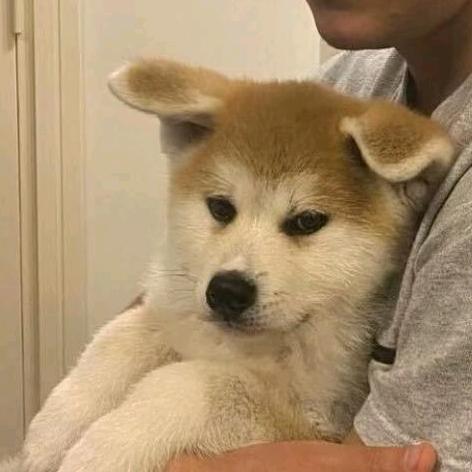 毛毛船长喊你上船