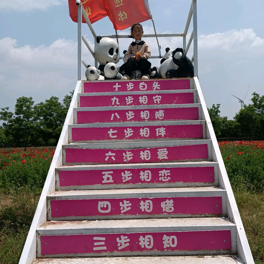 嘛嘞个洋芋擦擦