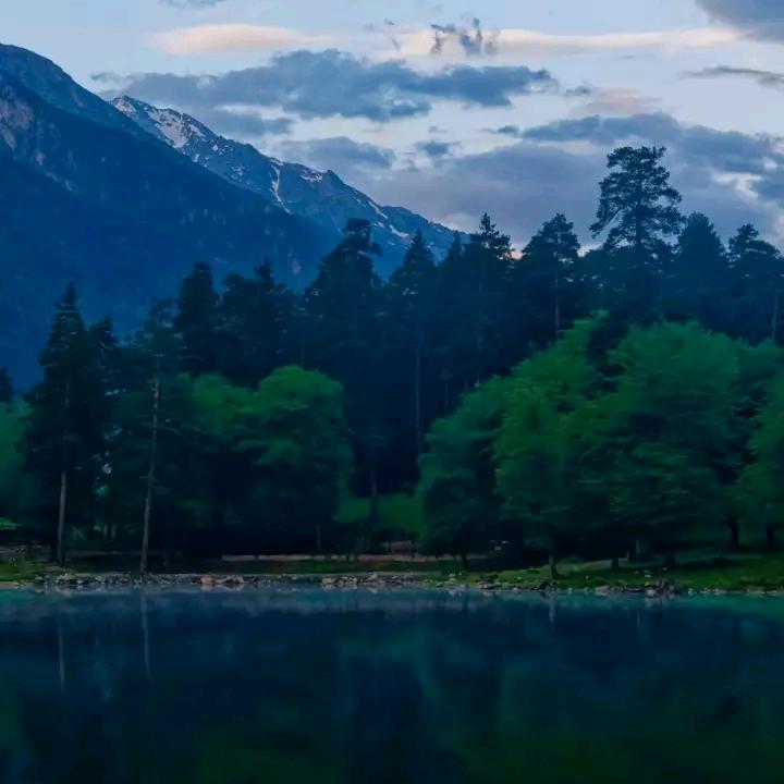 吴先森、收购大小生猪