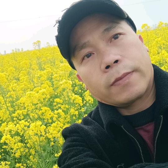 一生好运一家子