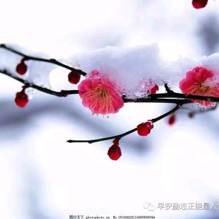 睡不着的泡泡糖：💤
