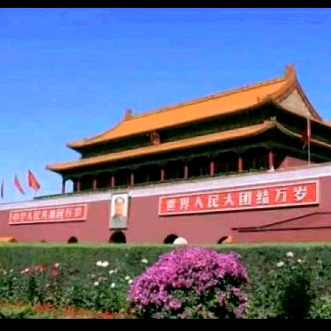 漂泊游子