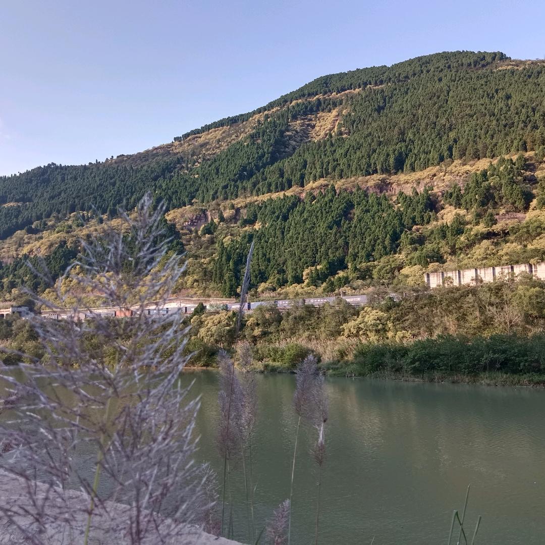 ࿐℘温酒℘续࿐余生℘࿐