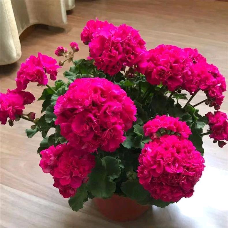 继英