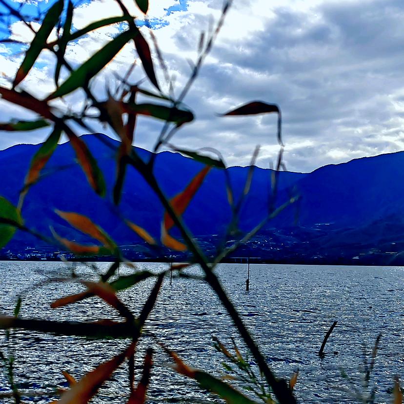 🕊💞ღ烈酒ꦿ꯭敬᭄余生💞🕊