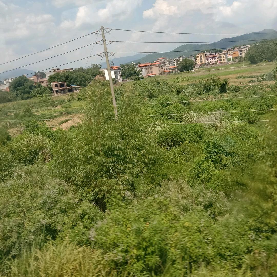 卢先峰