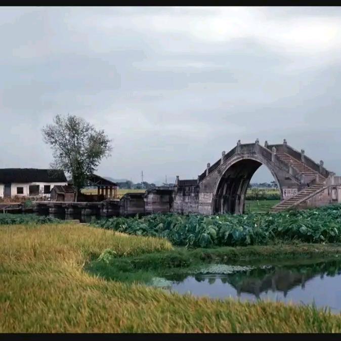 shgyu