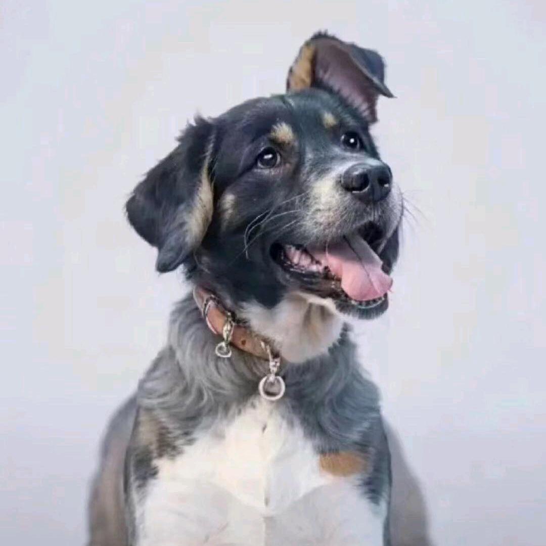 十日终焉高阳乱入