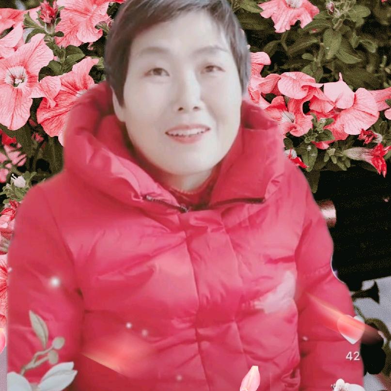 贺姐