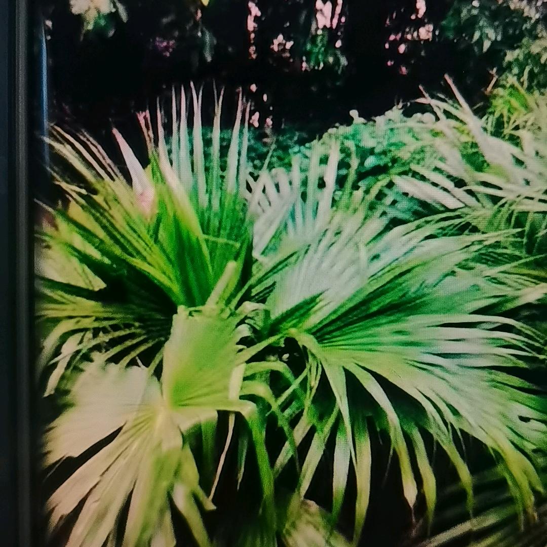 向钱看向厚赚🐒