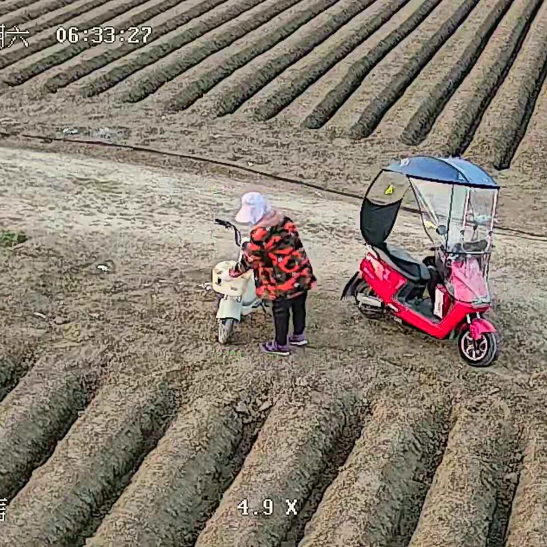 步步高升