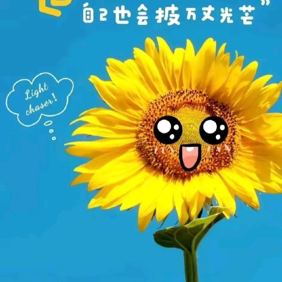 吴玉珍