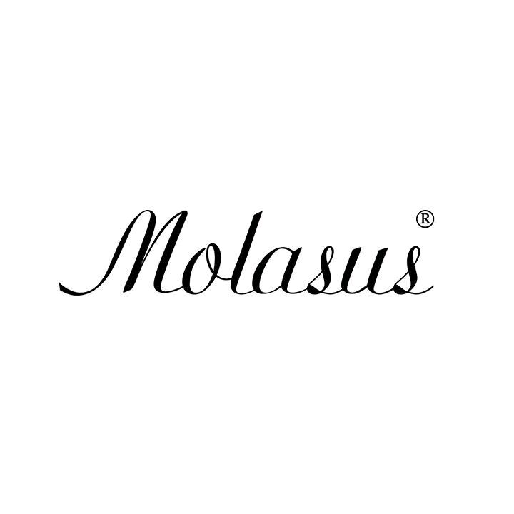 Molasus联翰内衣专卖店