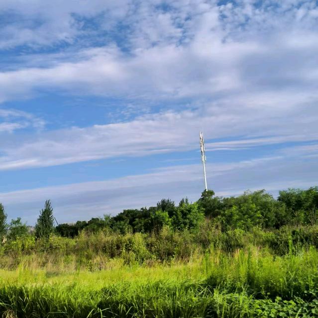 小暖阳