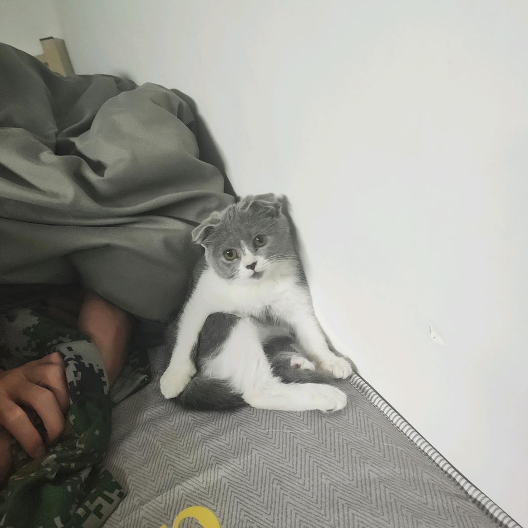 过往云烟亦凡尘