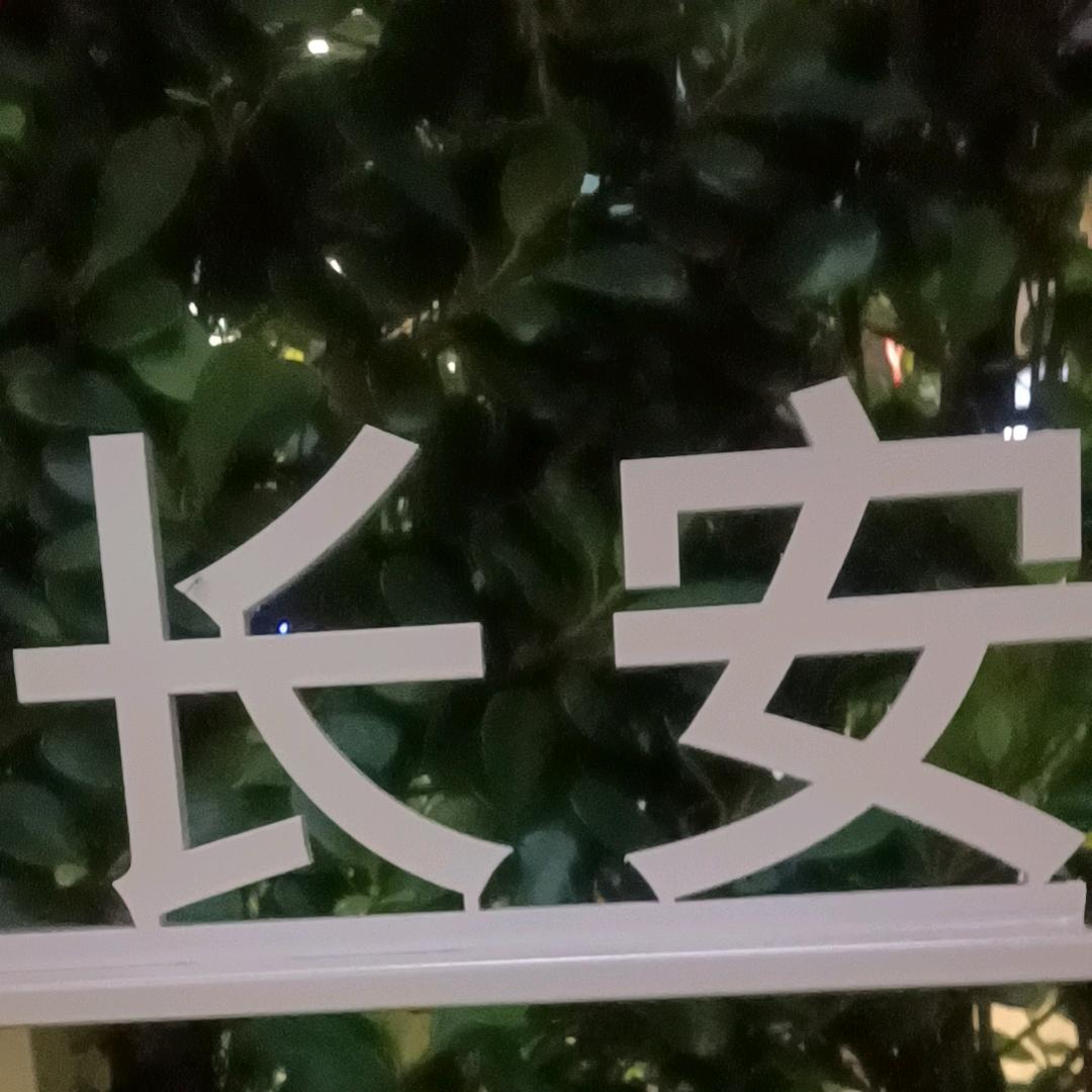 雨落游