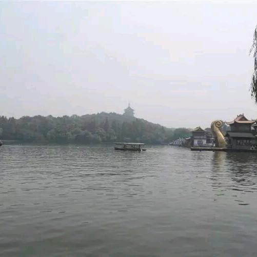 ☞小杨阳☜