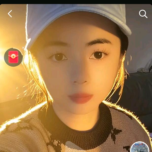燕子爱编织