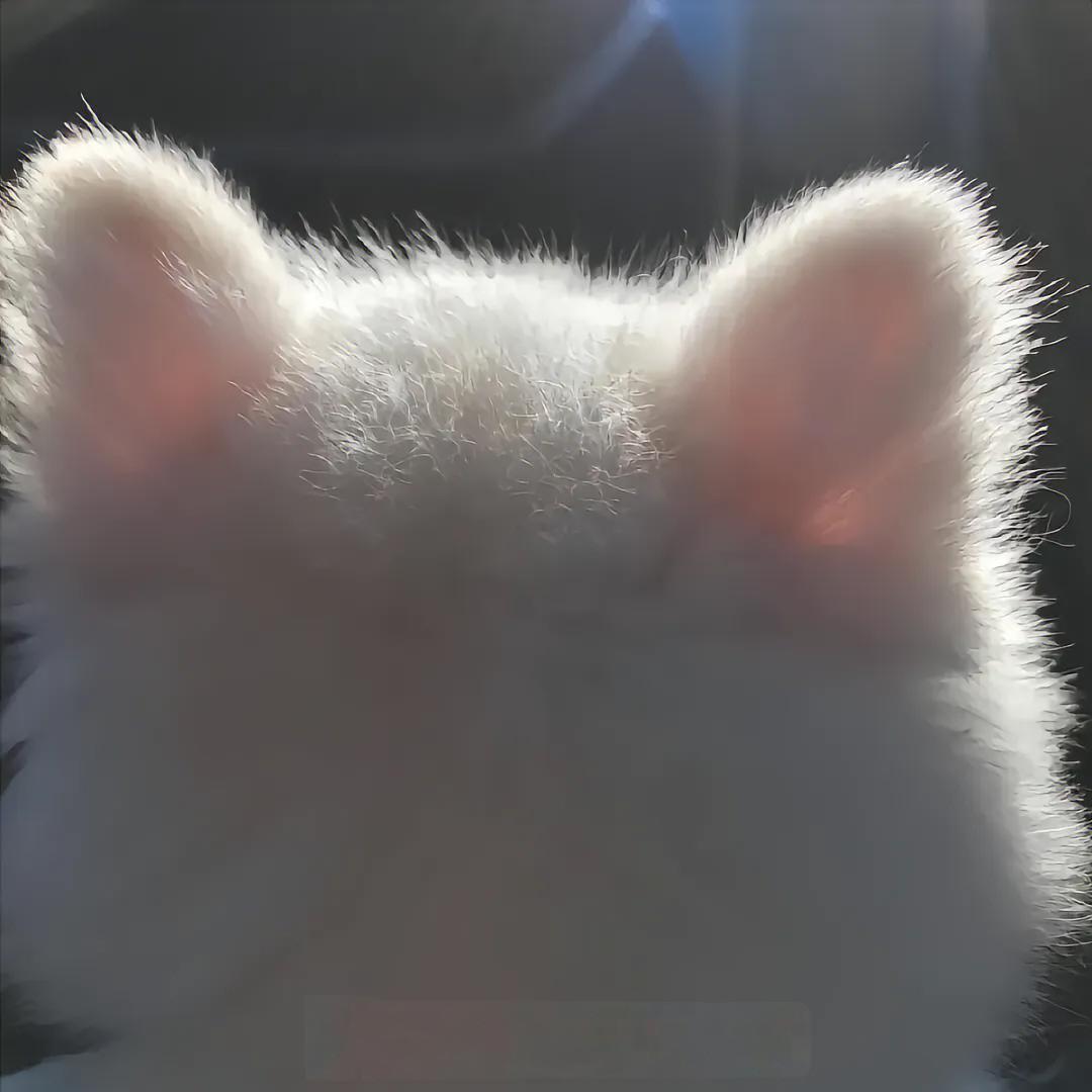 正-