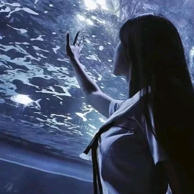 深圳市雷顿宜阳阳直播号