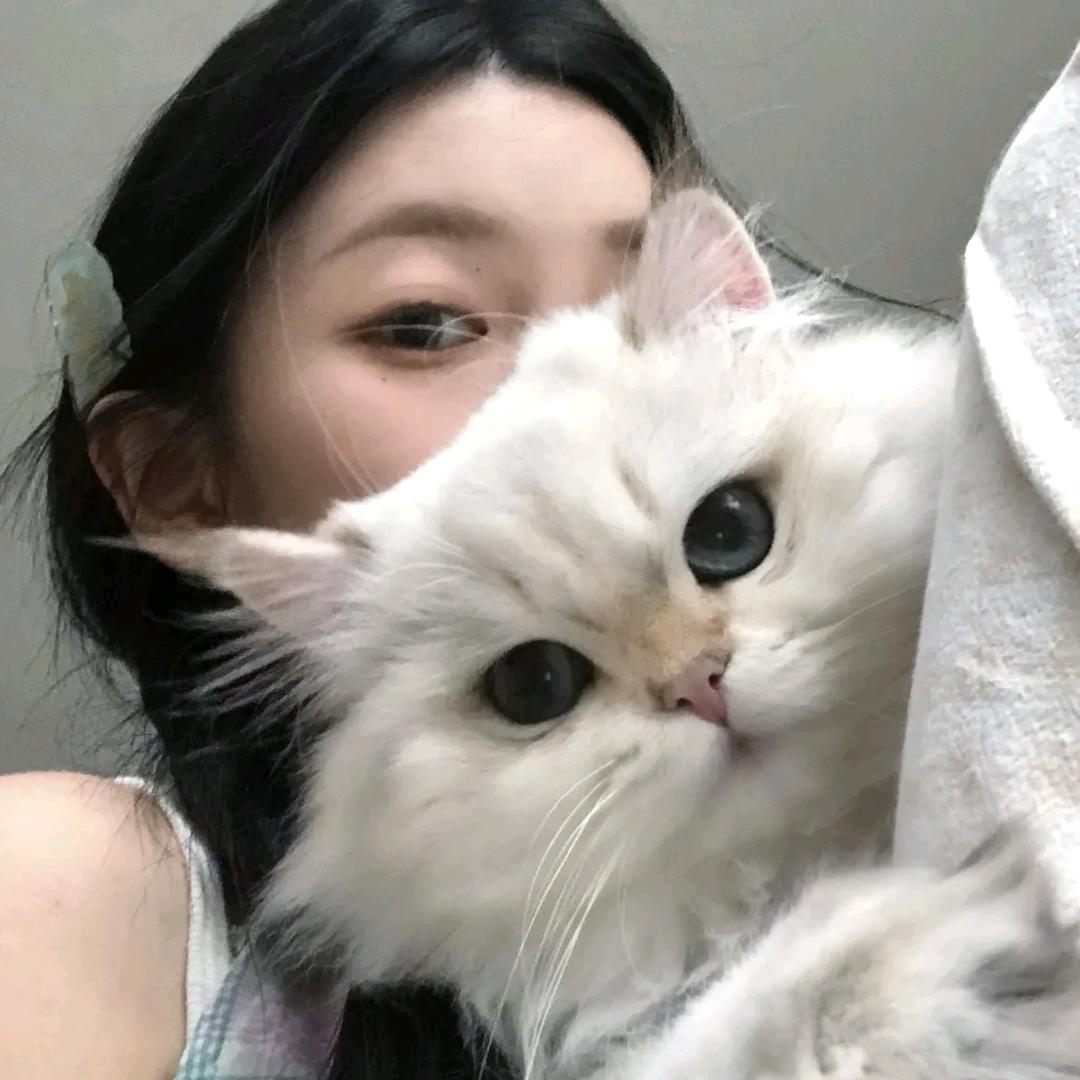一个秋