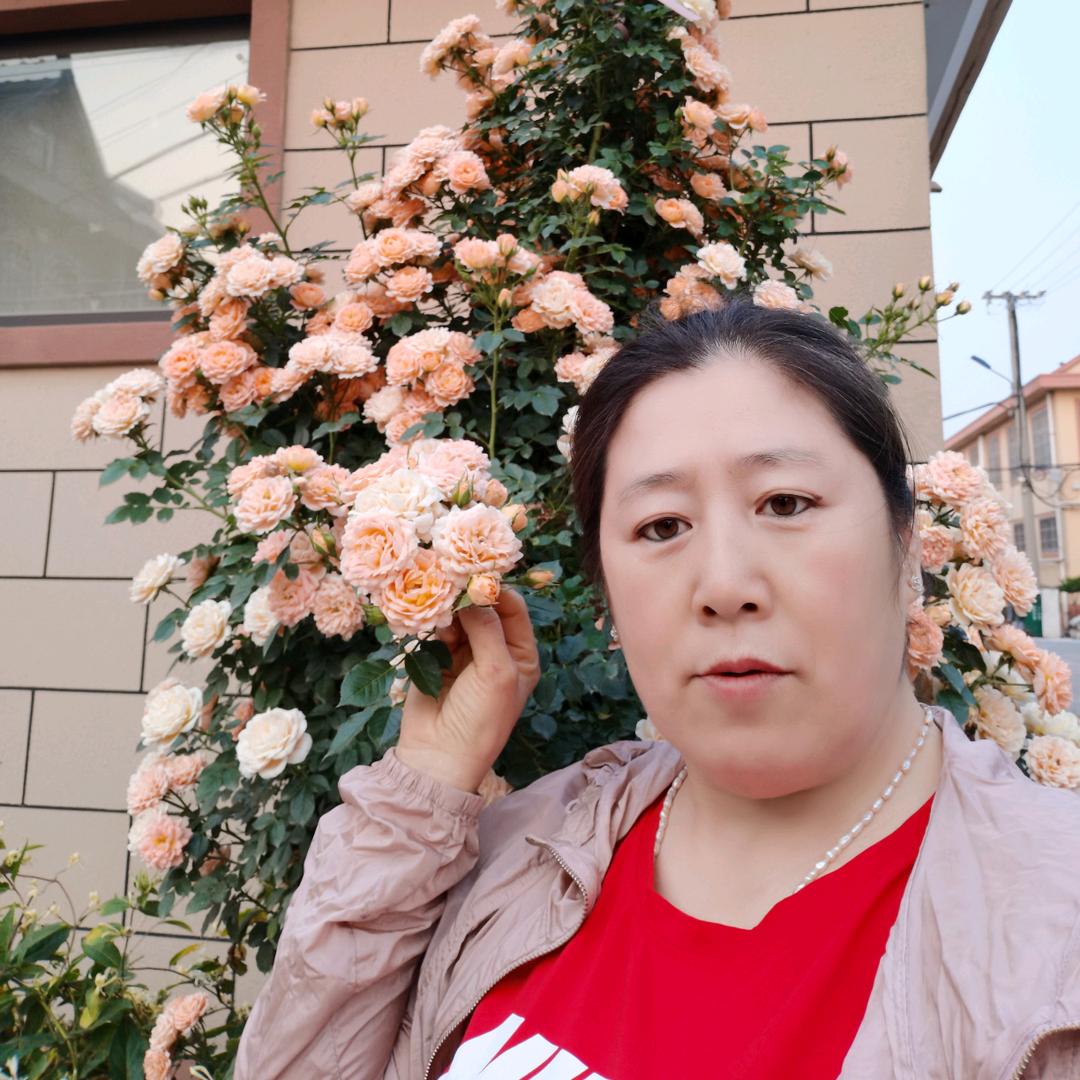 李红