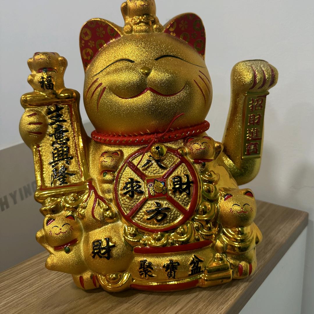 大赢家卡五星