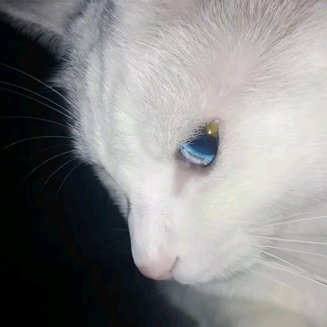 𝐁𝐚𝐲.