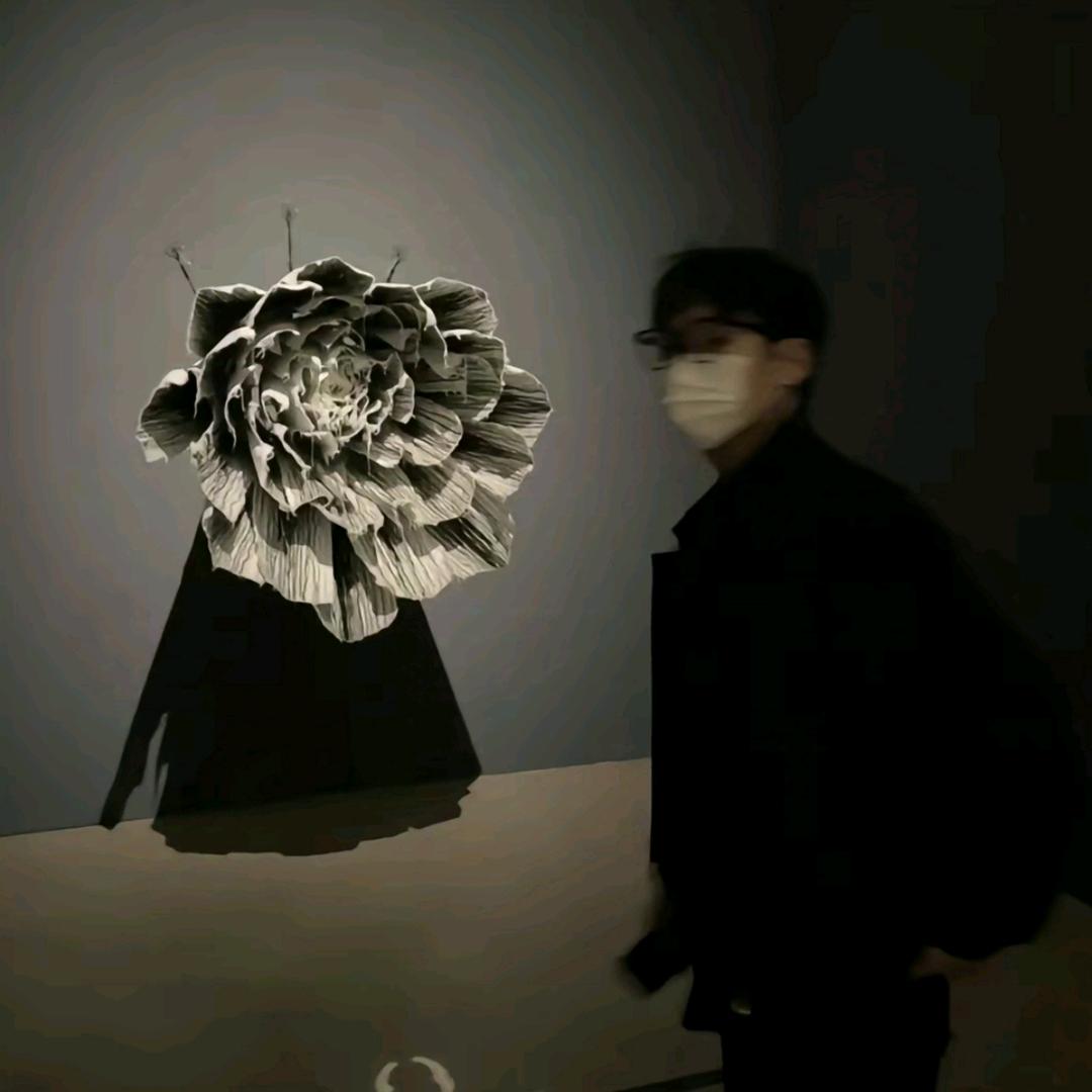清酒图文