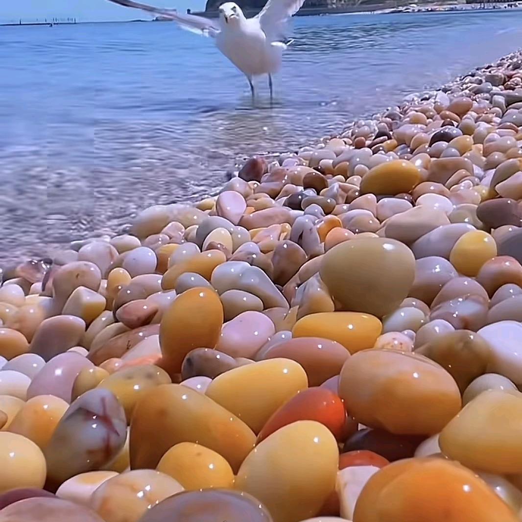 莹莹（早7：40）
