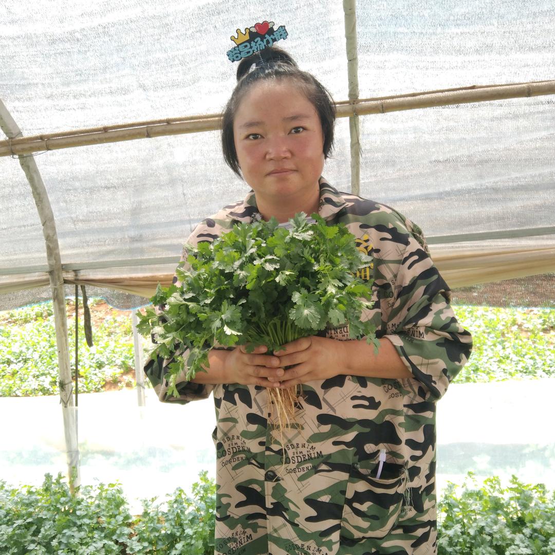 量宇植物之母水溶肥（杨小胖）