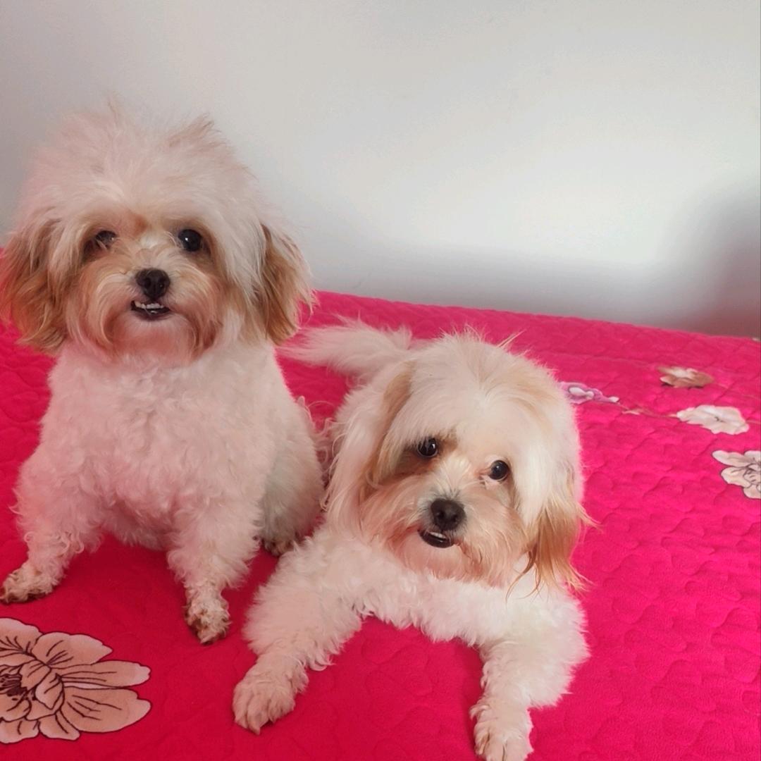 এ᭄ꦿ꯭雨情₅₂₀ 💗☾⋆᭄