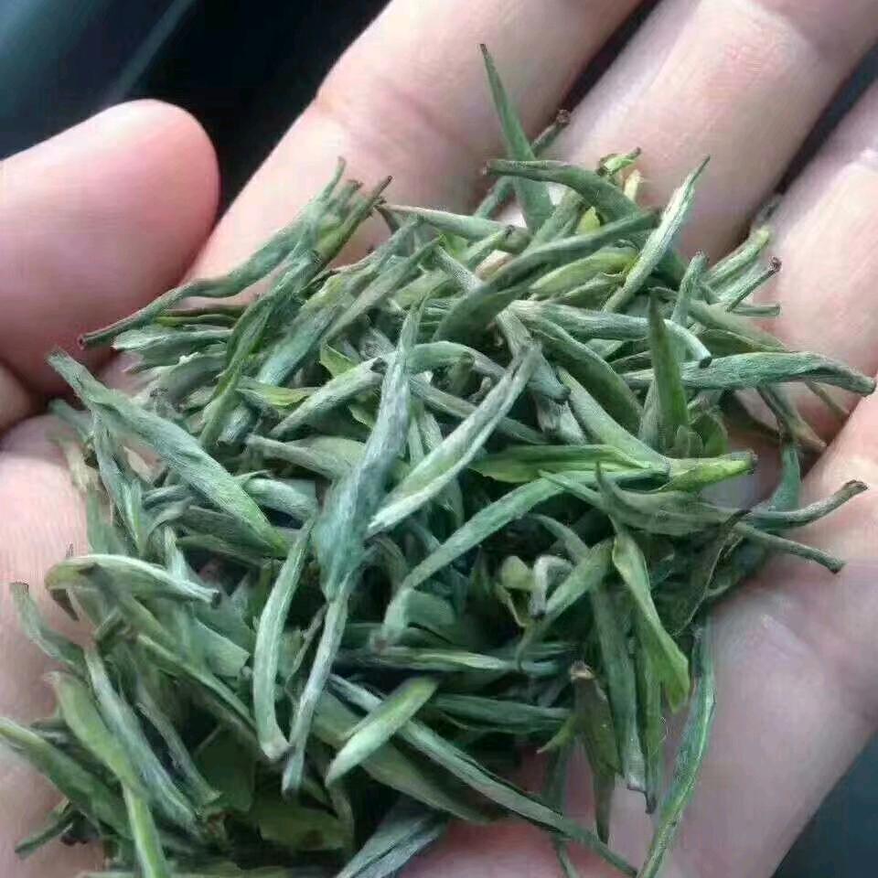 种茶人《发哥》