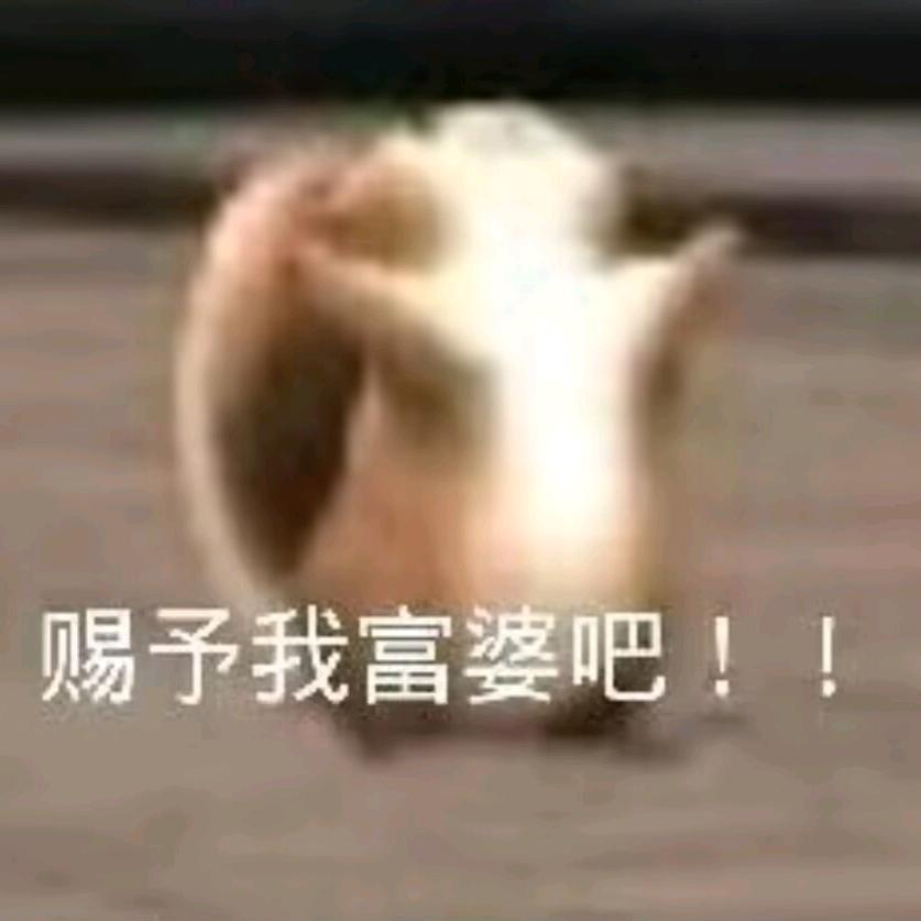 清风小艺