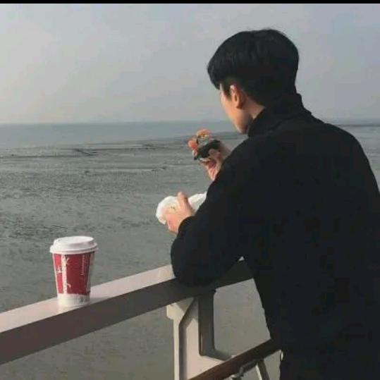 软包  硬包  窗帘源头厂家 铁臂921