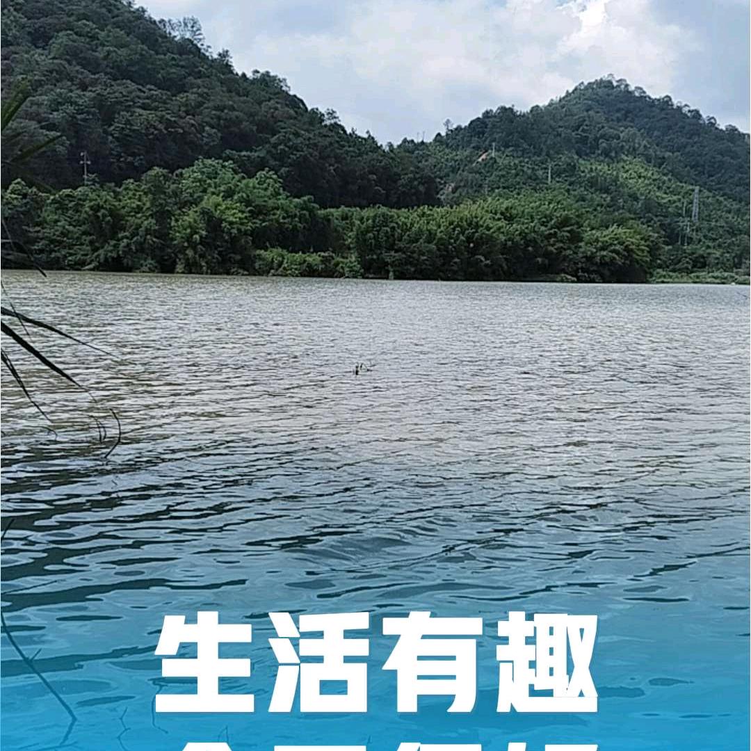 坚定的毅力