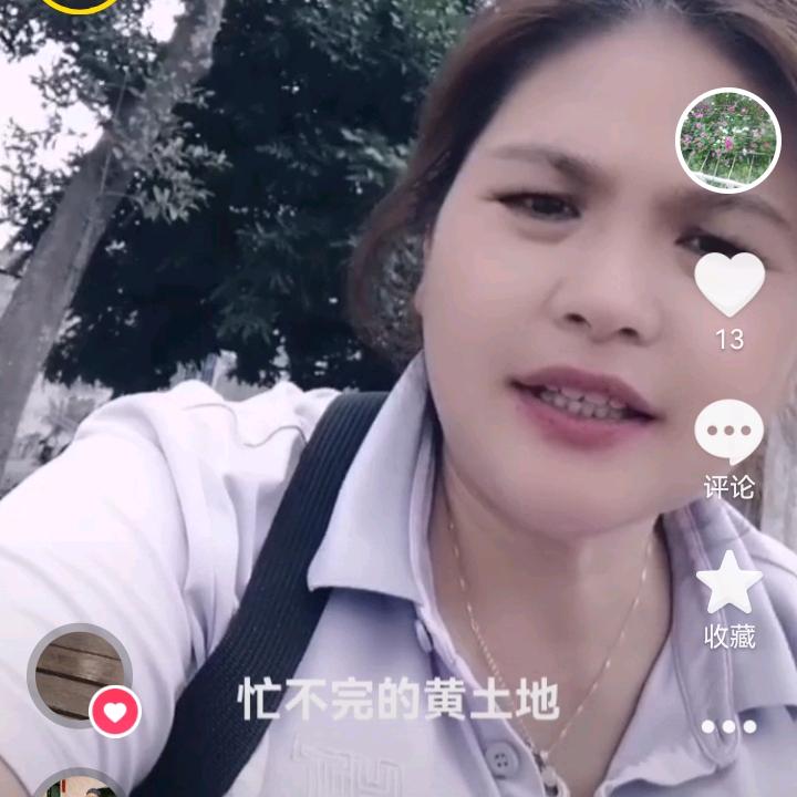 苦尽甘来