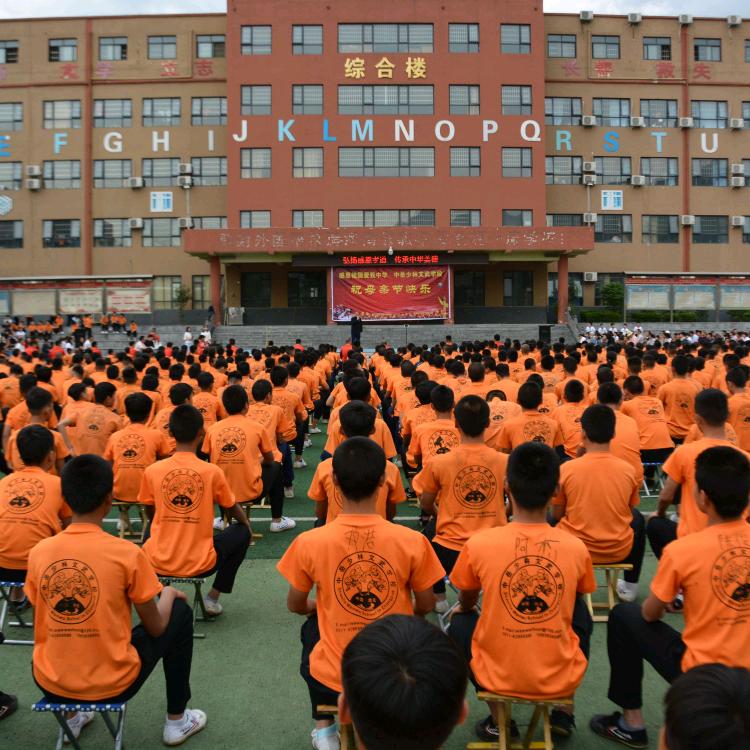 shaolinwenwu666